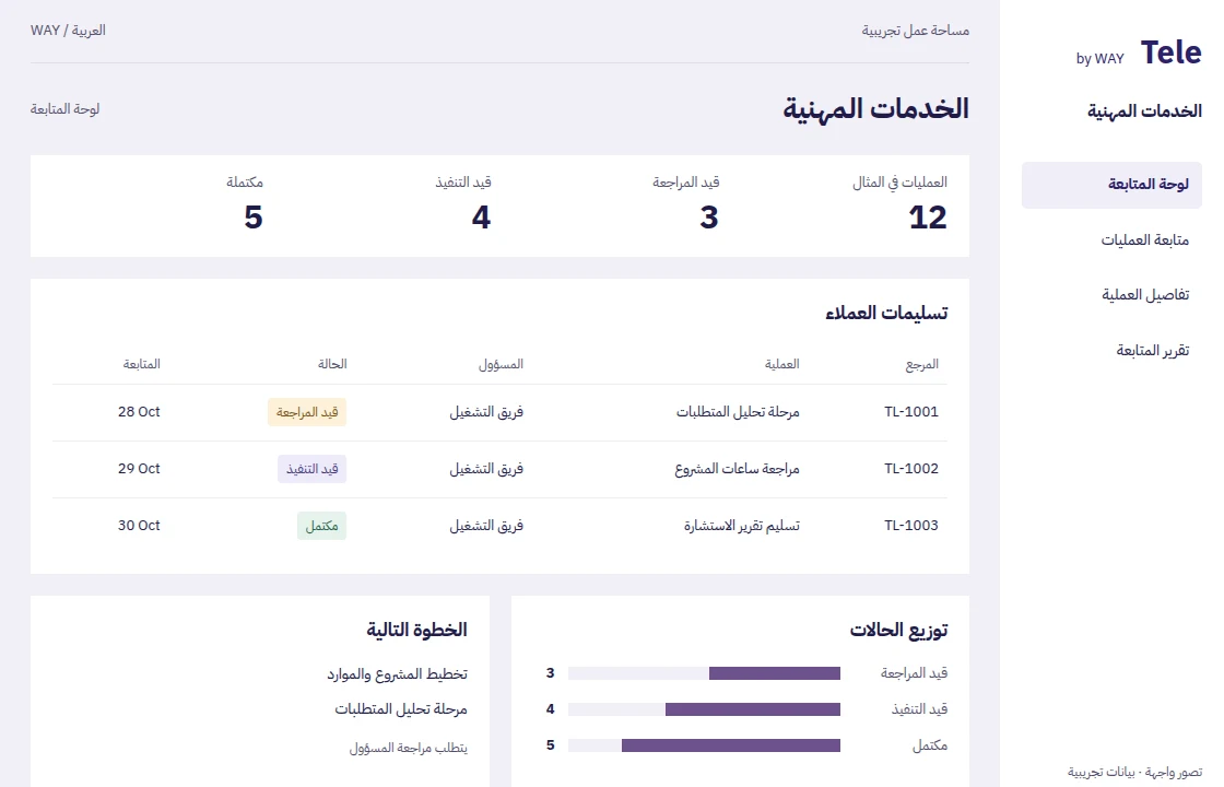 الخدمات المهنية — واجهة توضيحية