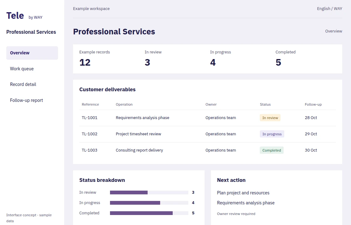 Professional Services — Interface concept